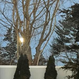 Meet your Posher, Leslie